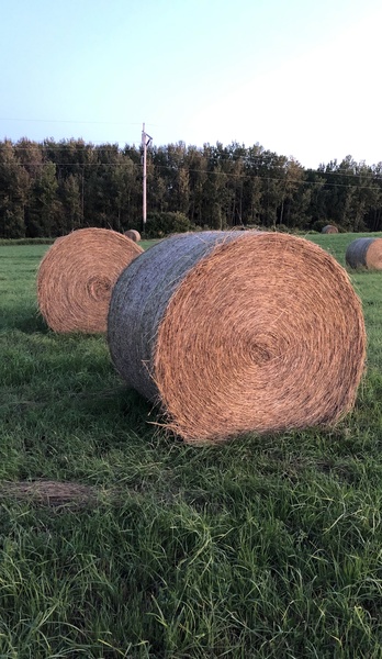 Large Round Hay Bales