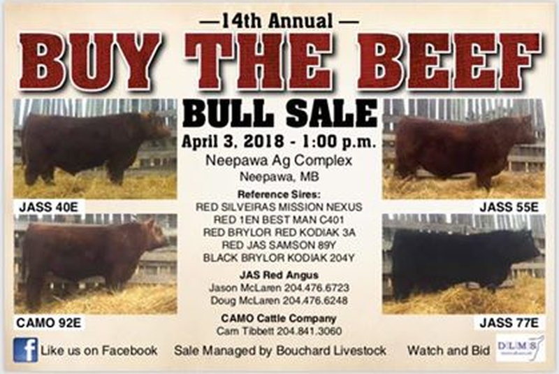 JAS Red Angus Bull Sale 