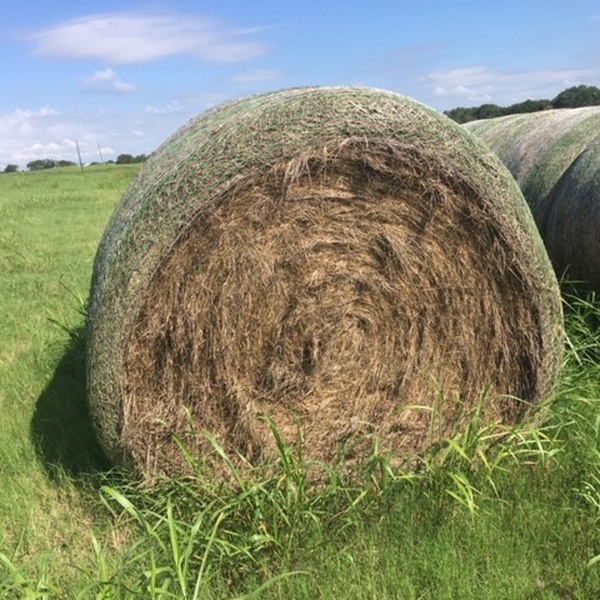 250 Hay Bales For Sale 