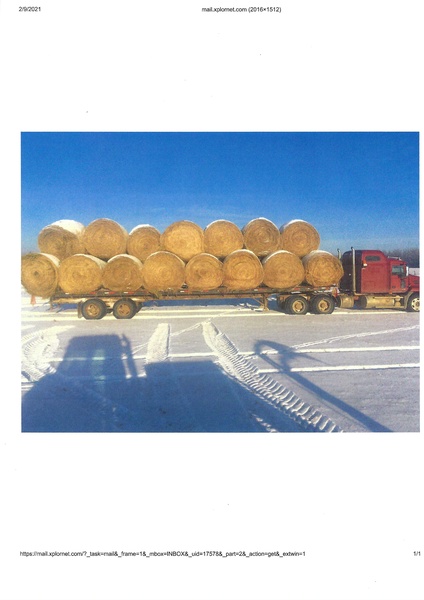 Hay for Sale