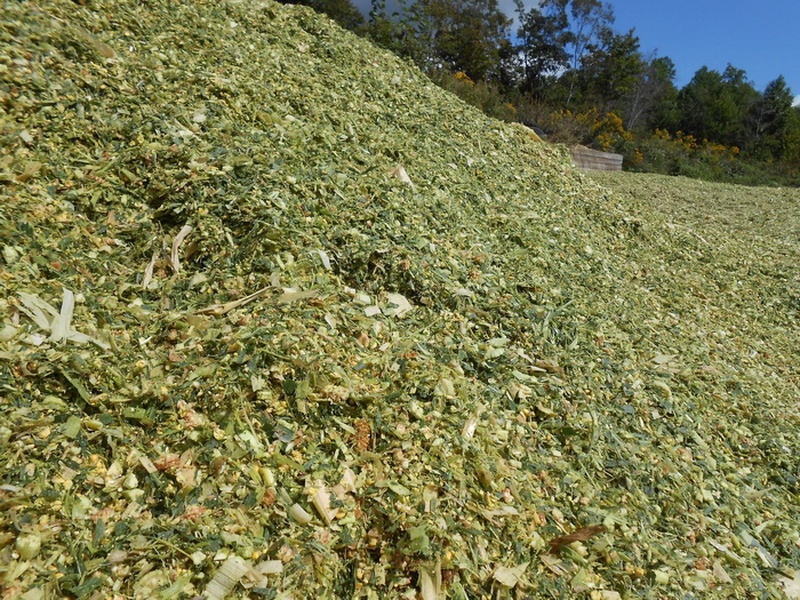 20 Silage Bales