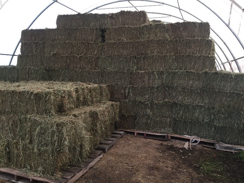 Round and Square Horse Hay For Sale 