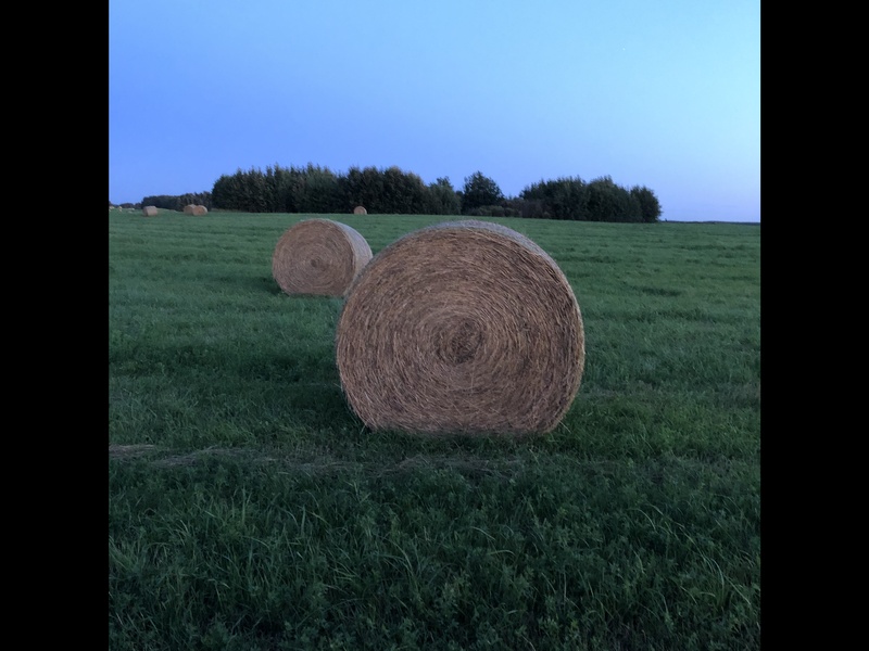 Large Round Hay Bales