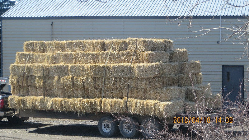 242 Small Straw Bales For Sale 