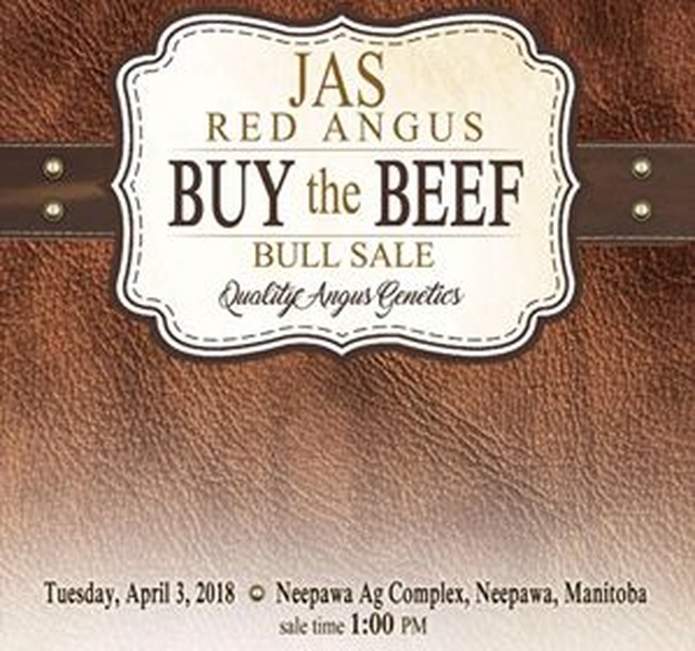 JAS Red Angus Bull Sale 